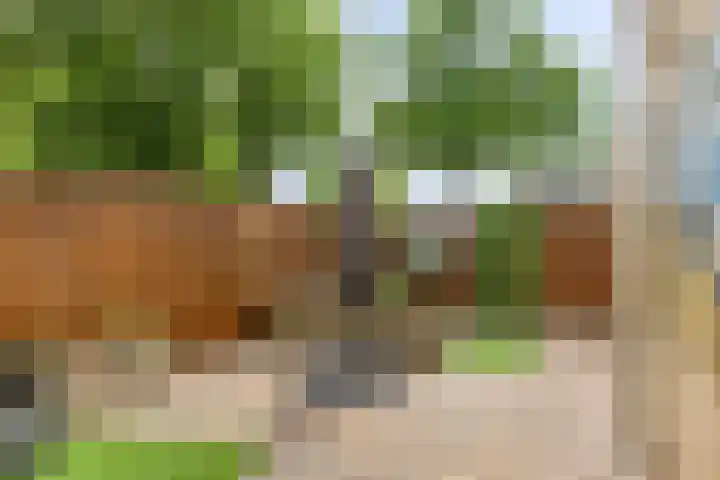 Atlanta 13 Capelle aan den IJssel thumbnail 22