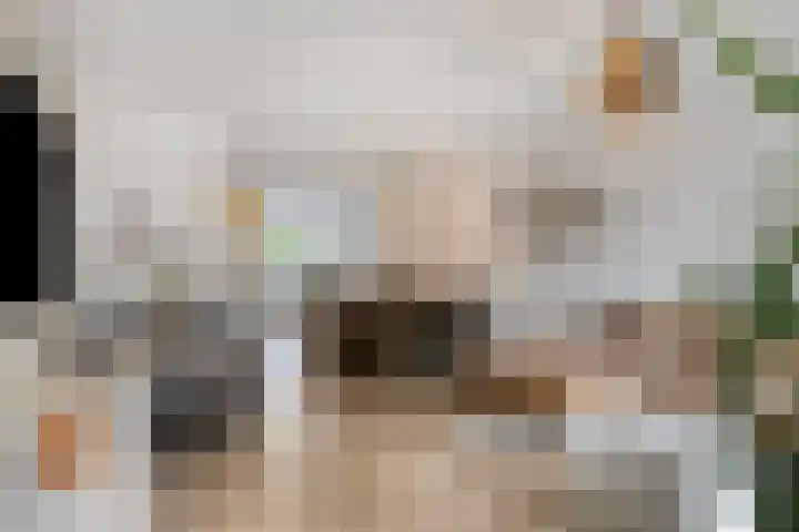 Atlanta 13 Capelle aan den IJssel thumbnail 4