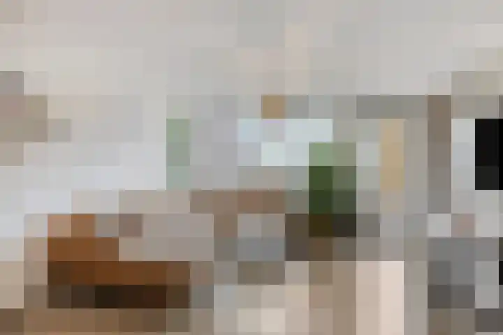 Atlanta 13 Capelle aan den IJssel thumbnail 5
