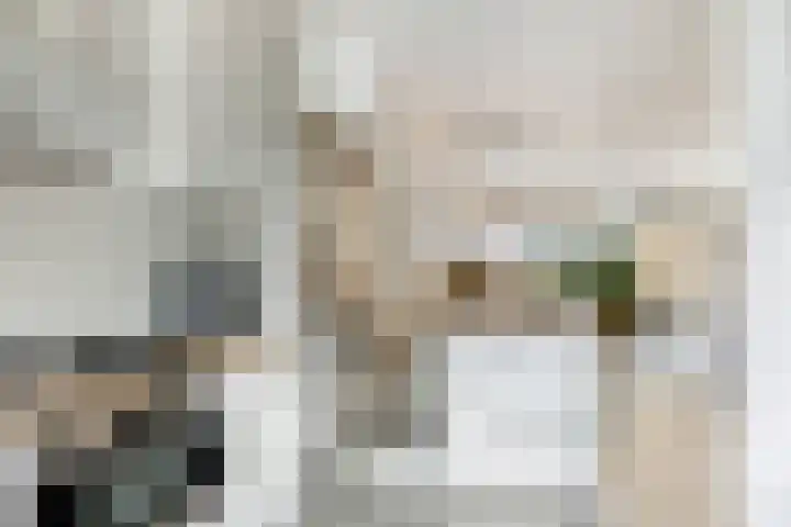 Atlanta 13 Capelle aan den IJssel thumbnail 9