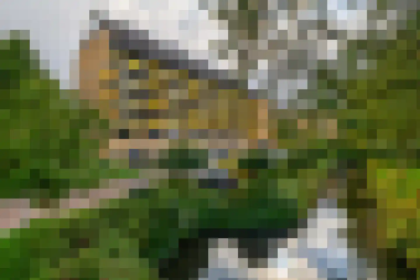 Atlanta 53 Capelle aan den IJssel thumbnail 6