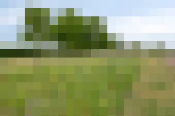 Atlanta 57 Capelle aan den IJssel thumbnail 35