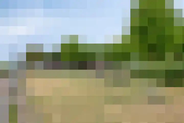 Atlanta 57 Capelle aan den IJssel thumbnail 36