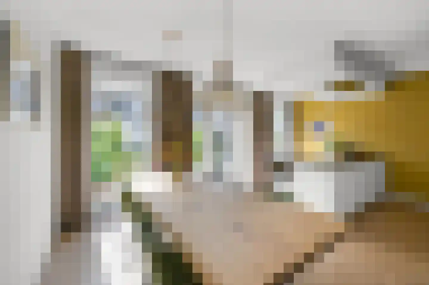 Atlantis 22 Wormerveer thumbnail 15