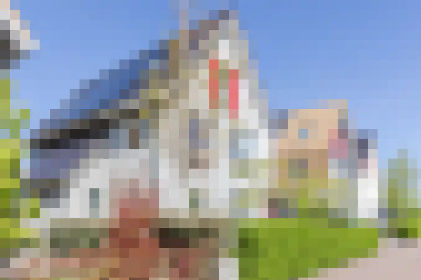 Atlantis 23 Wormerveer thumbnail 6