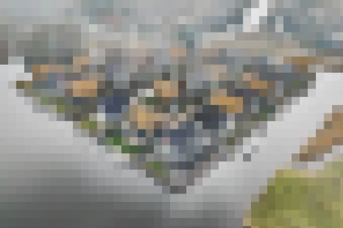 Atlantis 23 Wormerveer thumbnail 76
