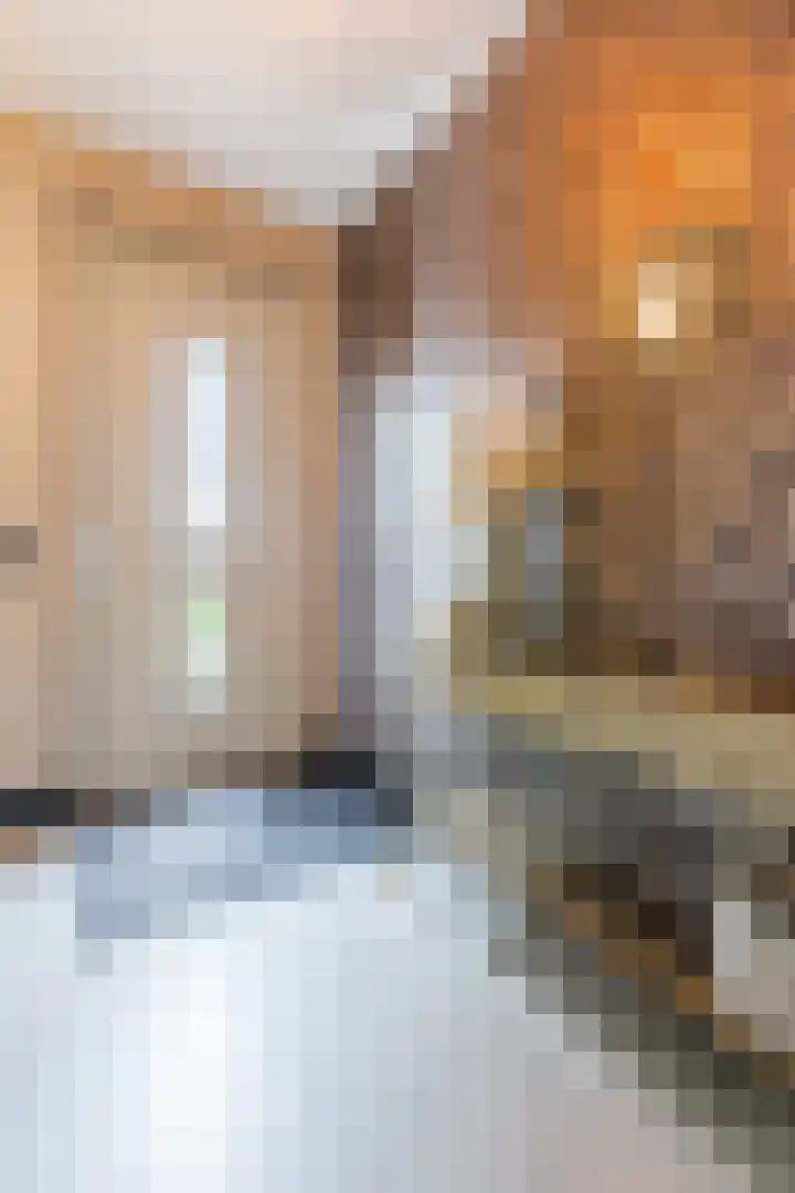 Atlantis 45 Wormerveer thumbnail 21