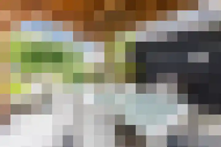 Atlantis 45 Wormerveer thumbnail 54