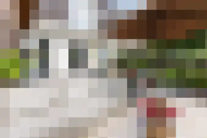 Atlantis 45 Wormerveer thumbnail 57