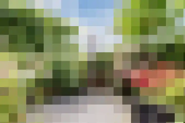 Atlantis 45 Wormerveer thumbnail 59