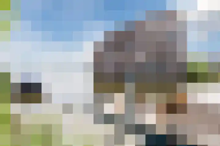 Atlantis 45 Wormerveer thumbnail 60