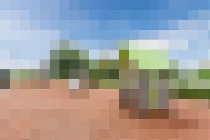 Atlantis 45 Wormerveer thumbnail 62