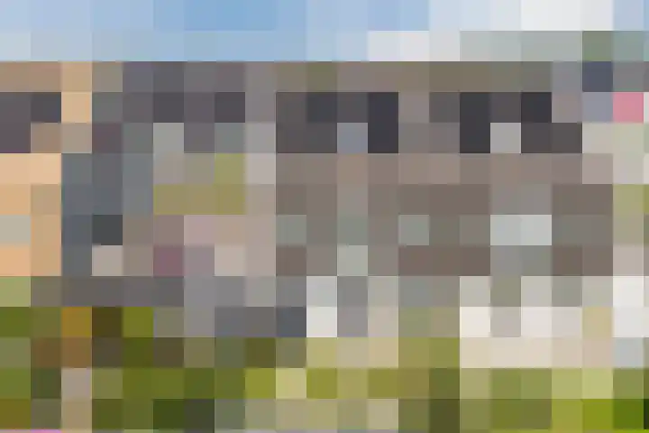 Atlantis 45 Wormerveer thumbnail 63
