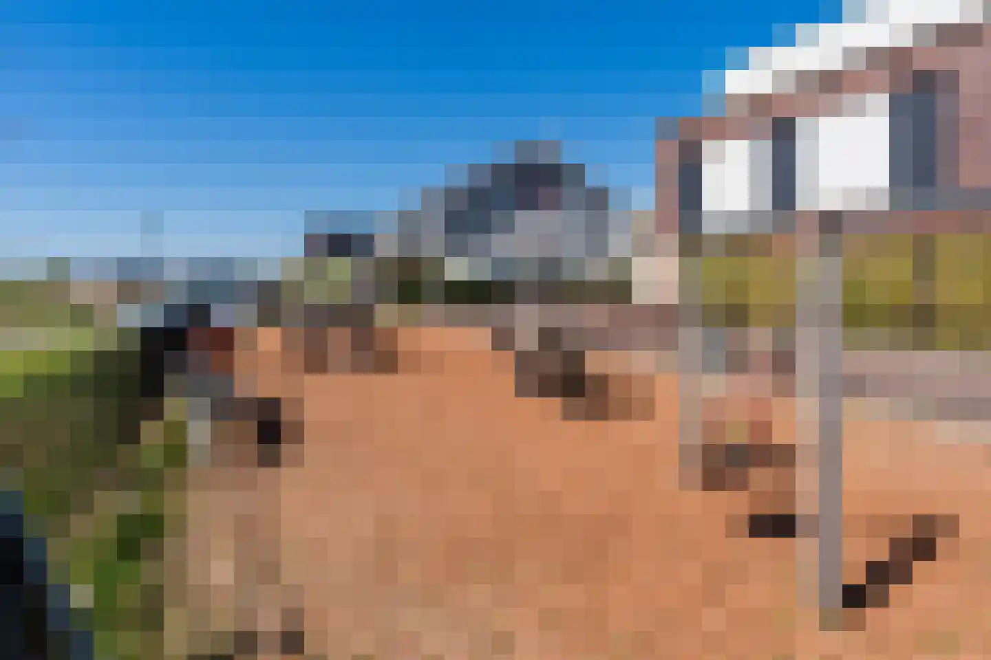Atlantis 8 Wormerveer thumbnail 50