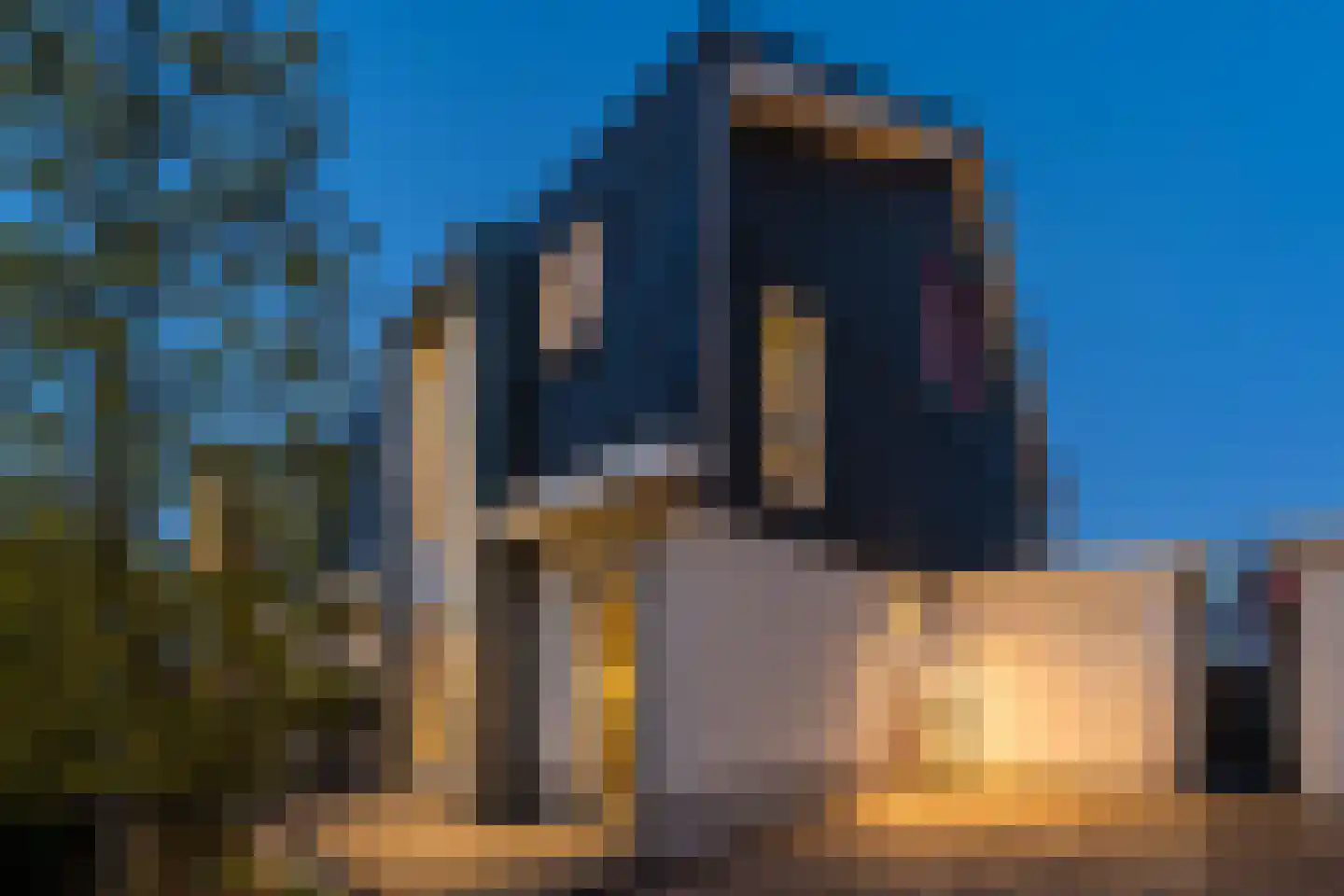 Atlantis 8 Wormerveer thumbnail 57