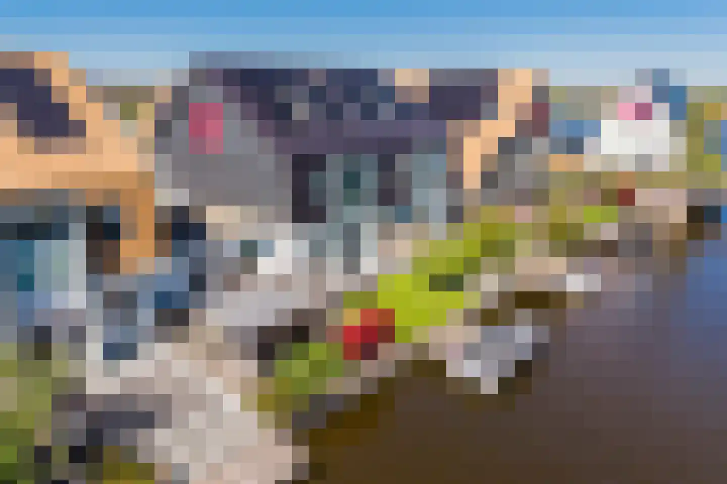 Atlantis 8 Wormerveer thumbnail 7
