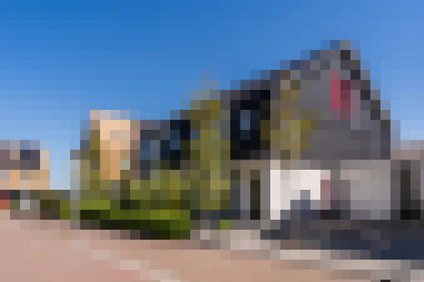 Atlantis 8 Wormerveer thumbnail 8