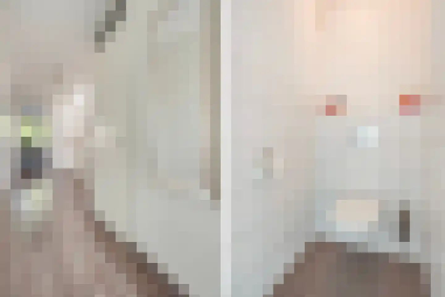 Atlantische Oceaan 20 Naaldwijk thumbnail 27