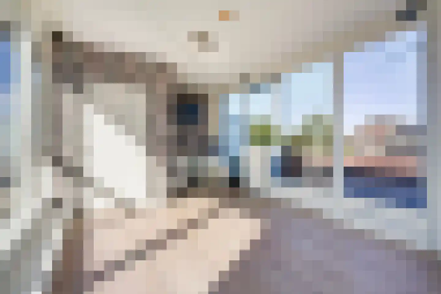Atlantische Oceaan 20 Naaldwijk thumbnail 38