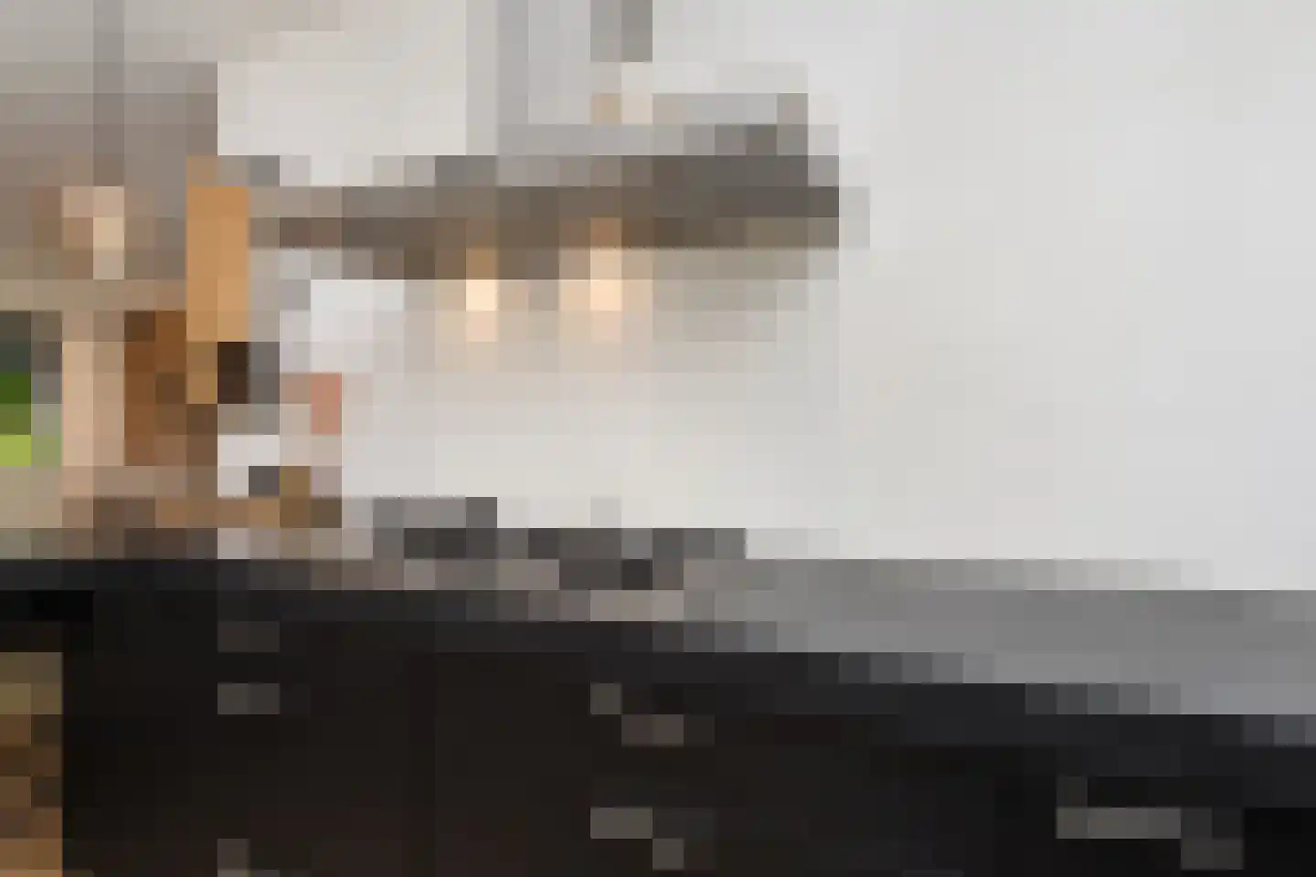 Atlantische Oceaan 35 Naaldwijk thumbnail 16