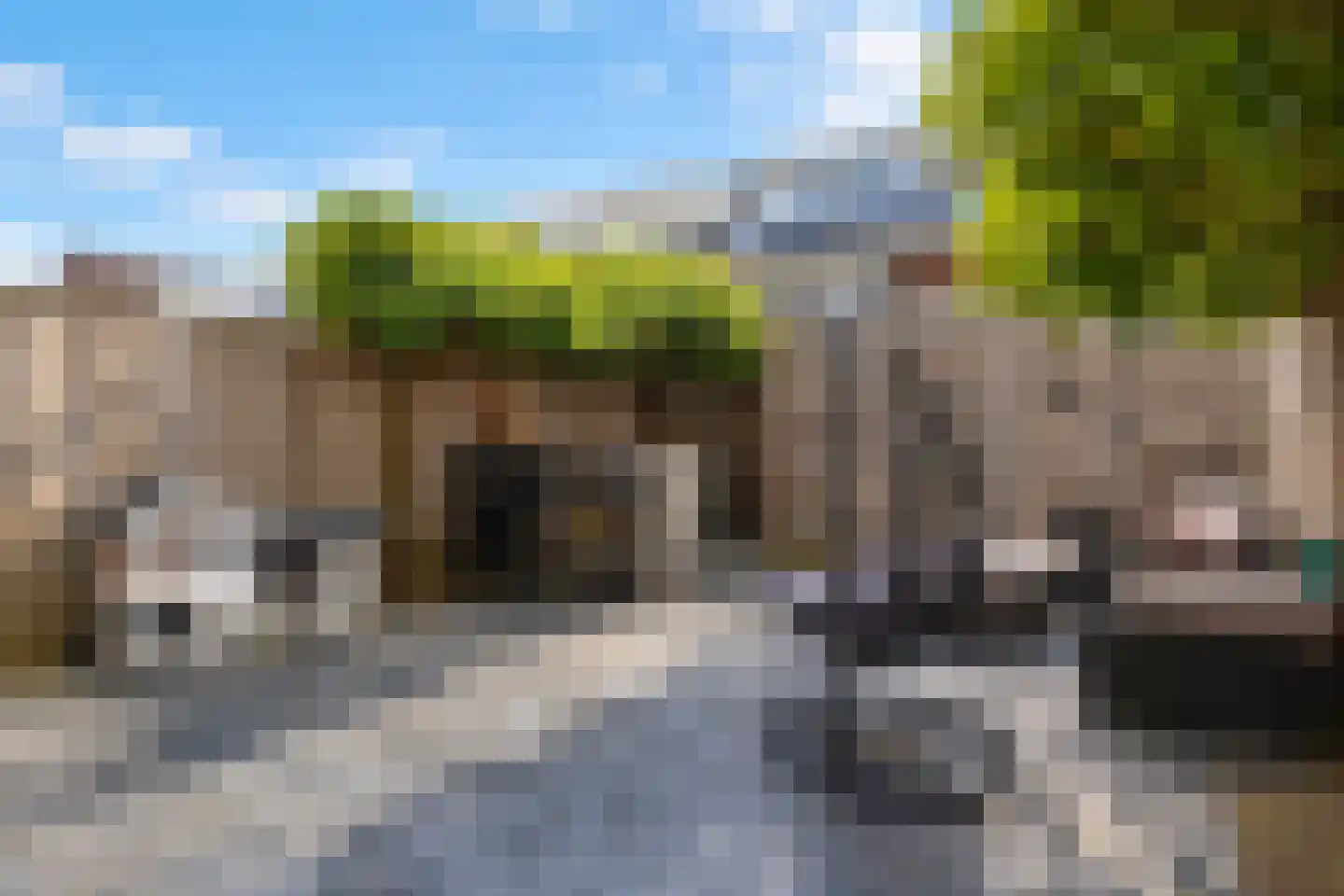 Atlantische Oceaan 35 Naaldwijk thumbnail 21