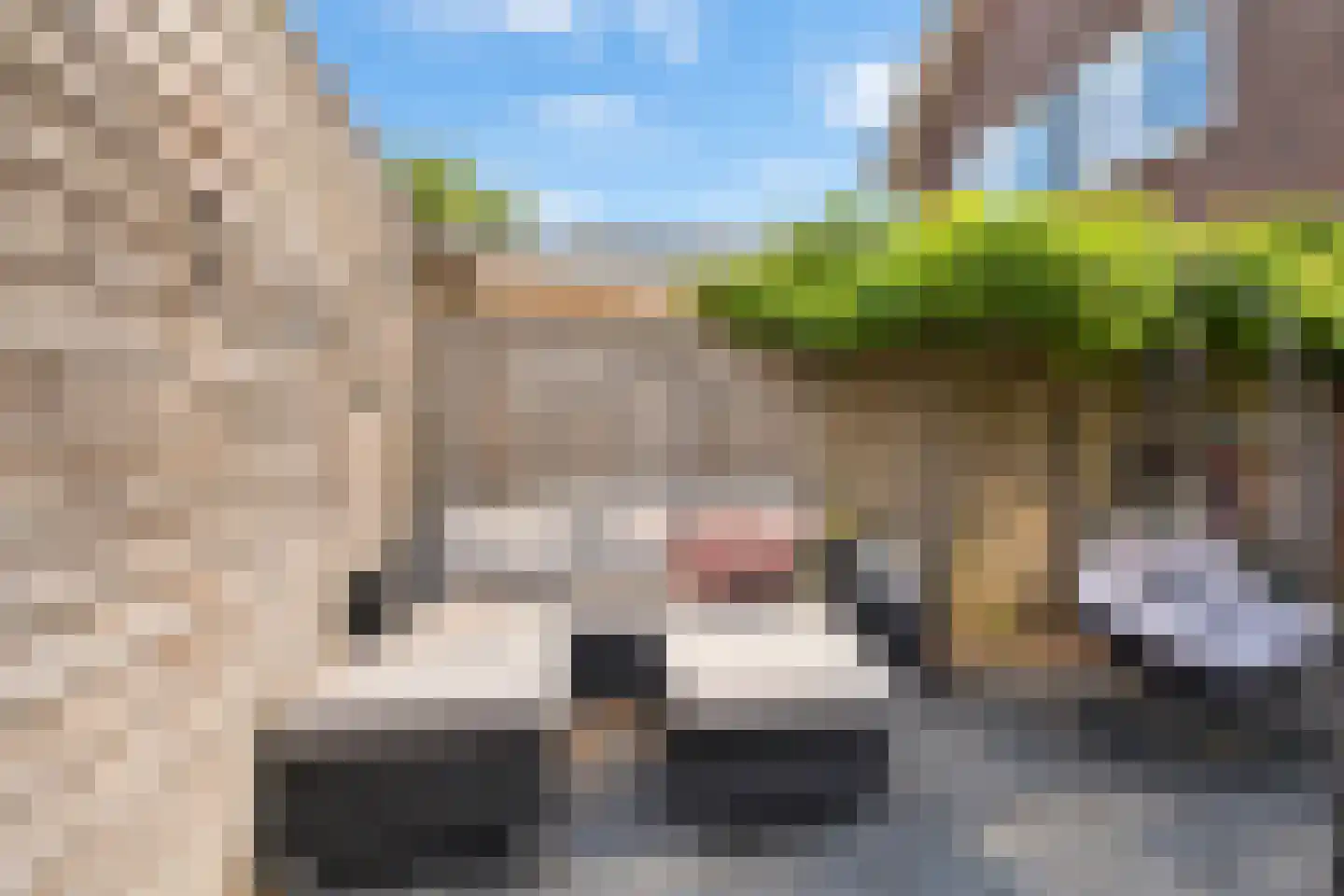 Atlantische Oceaan 35 Naaldwijk thumbnail 24