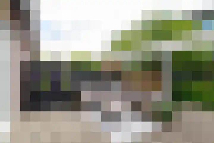 Atlantische Oceaan 38 Naaldwijk thumbnail 13