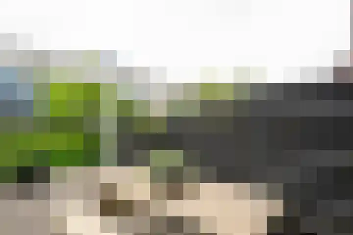 Atlantische Oceaan 38 Naaldwijk thumbnail 14