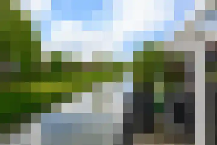 Atlantische Oceaan 38 Naaldwijk thumbnail 15