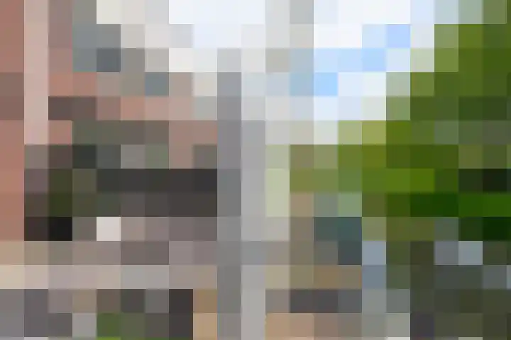 Atlantische Oceaan 38 Naaldwijk thumbnail 16