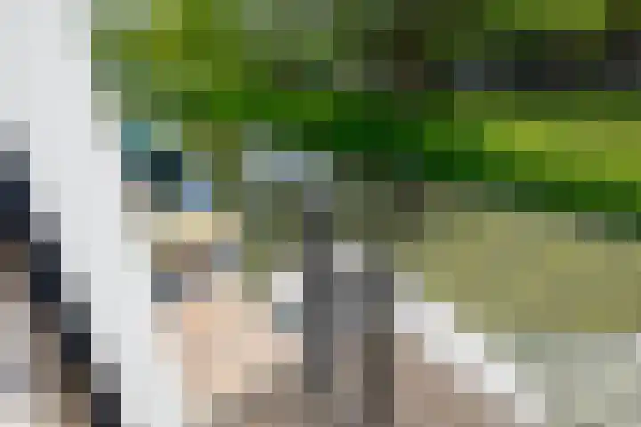 Atlantische Oceaan 38 Naaldwijk thumbnail 17