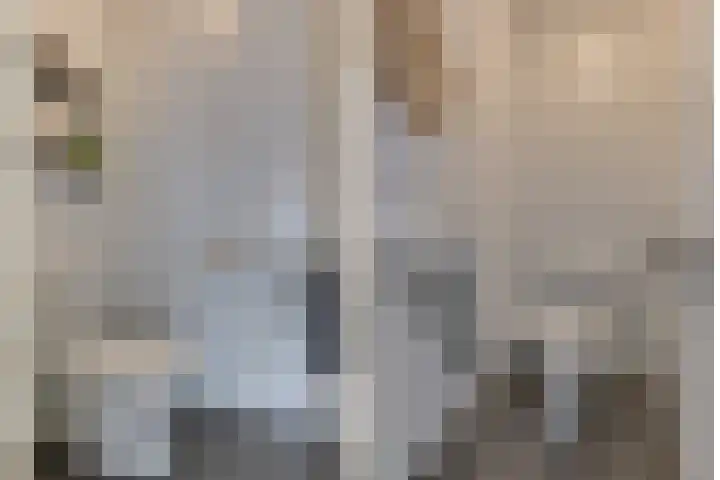 Atlantische Oceaan 38 Naaldwijk thumbnail 20