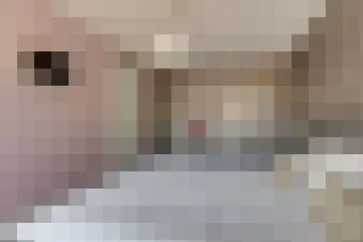 Atlantische Oceaan 38 Naaldwijk thumbnail 24