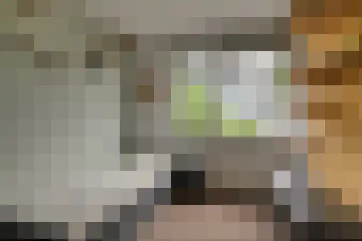 Atlantische Oceaan 38 Naaldwijk thumbnail 30