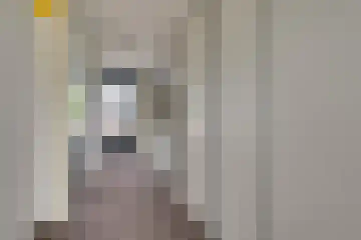 Atlantische Oceaan 38 Naaldwijk thumbnail 39