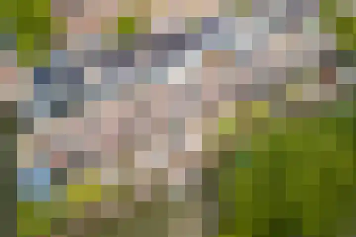 Atlantische Oceaan 38 Naaldwijk thumbnail 44
