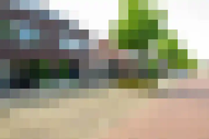 Atlantische Oceaan 38 Naaldwijk thumbnail 48