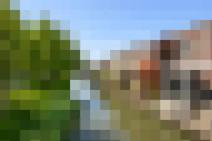 Atlantische Oceaan 38 Naaldwijk thumbnail 49