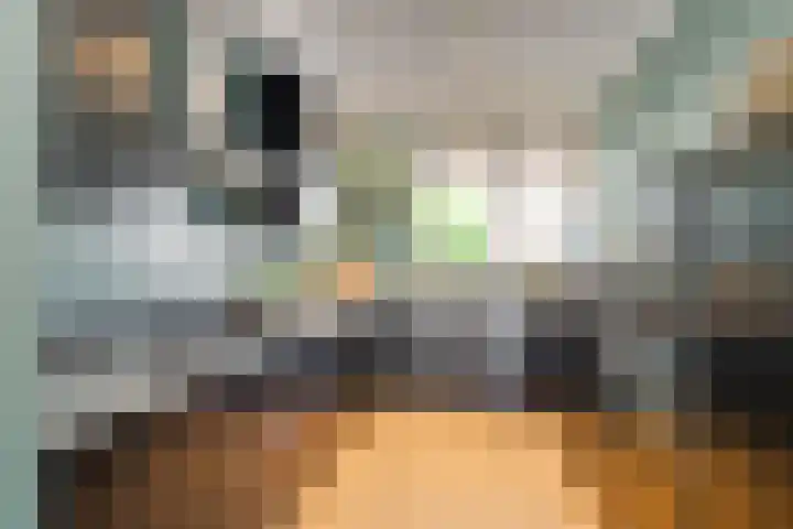 Atlantische Oceaan 38 Naaldwijk thumbnail 6