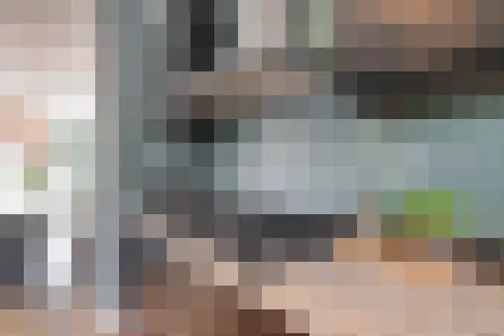 Atlantische Oceaan 38 Naaldwijk thumbnail 9