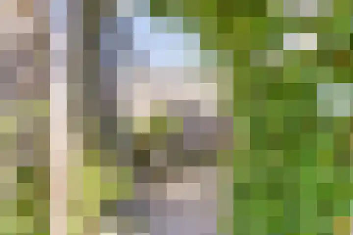 Atlantischestraat 11 Emmeloord thumbnail 31