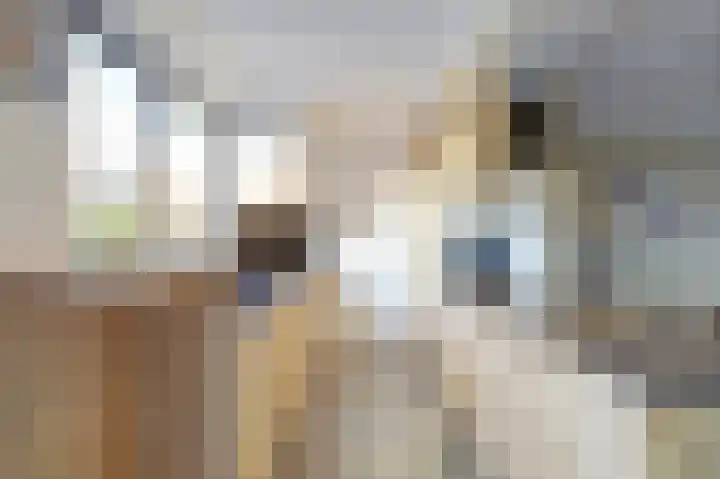Atlantischestraat 14 Emmeloord thumbnail 12