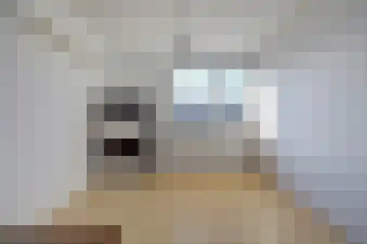 Atlantischestraat 14 Emmeloord thumbnail 19