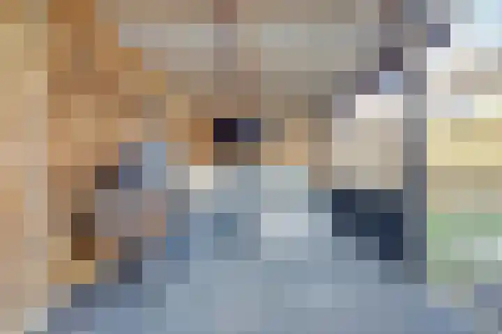Atlantischestraat 14 Emmeloord thumbnail 25
