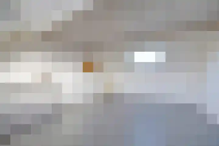 Atlantischestraat 14 Emmeloord thumbnail 31