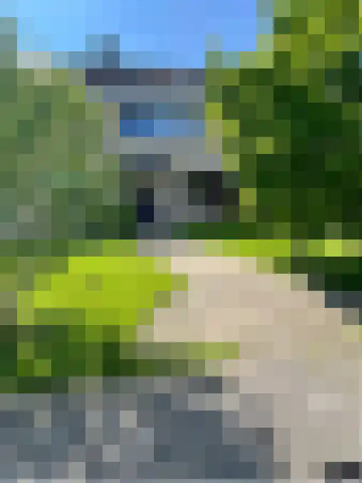 Atlantischestraat 14 Emmeloord thumbnail 33