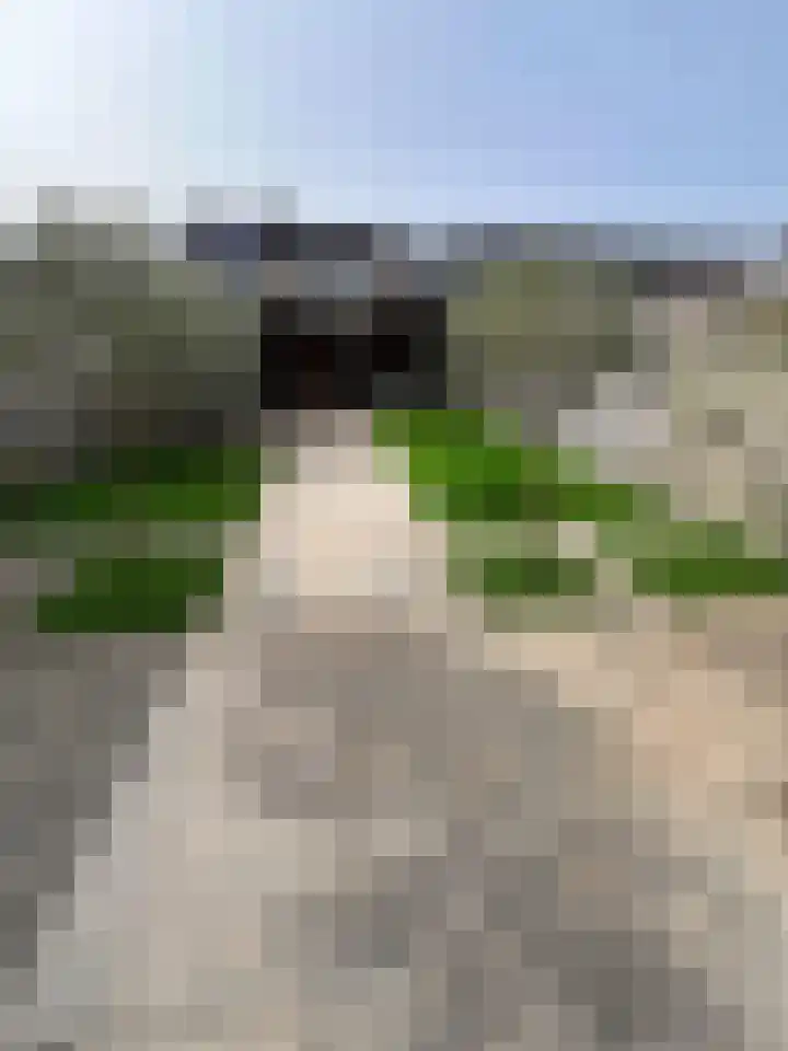 Atlantischestraat 14 Emmeloord thumbnail 34