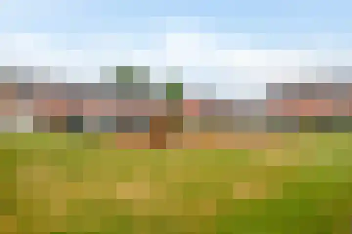 Atlas 28 Hoogezand thumbnail 29