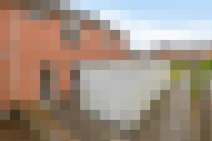 Atlas 28 Hoogezand thumbnail 6