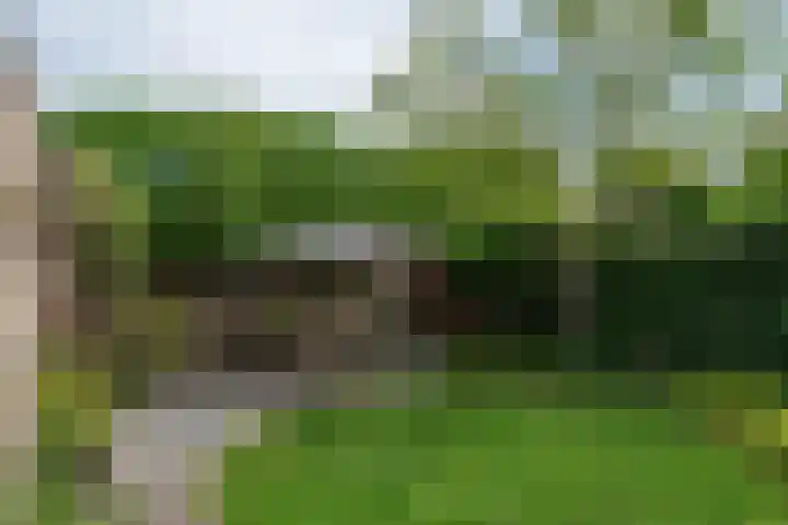 Atlas 30 Heeze thumbnail 41